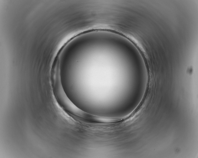 X0000091931342200709121551