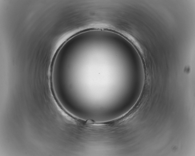 X0000091931343200709121551
