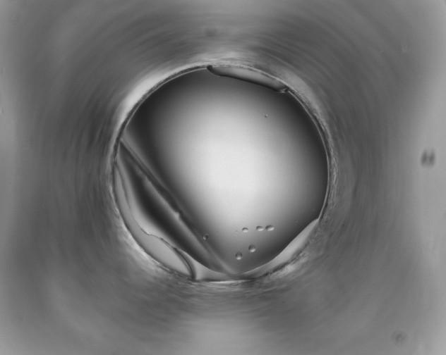 X0000091931344200709121551