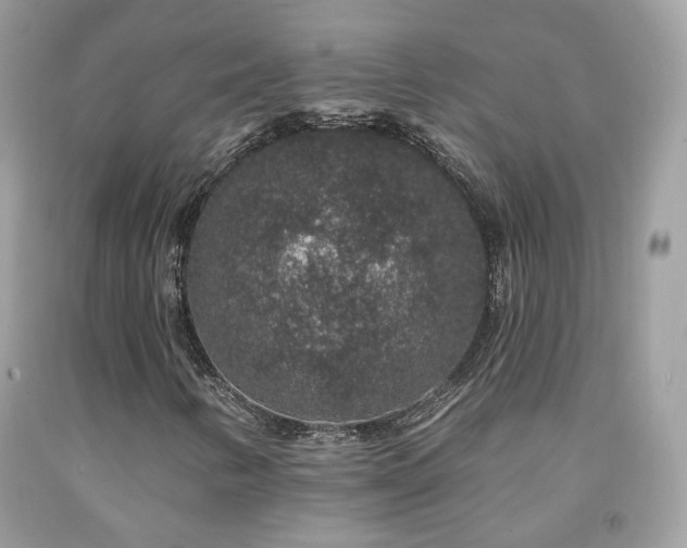 X0000091931346200709121551