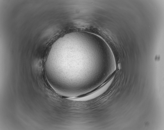 X0000091931347200709121551