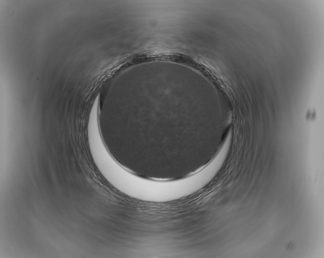 X0000091931348200709121551