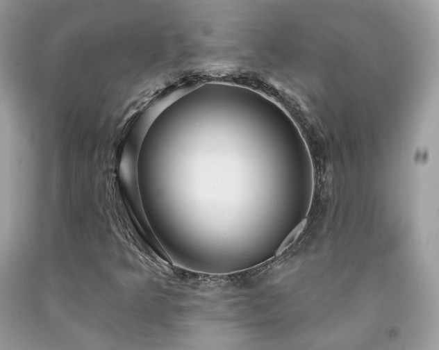 X0000091931349200709121551