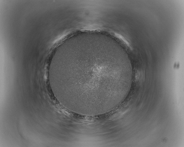 X0000091931350200709121551