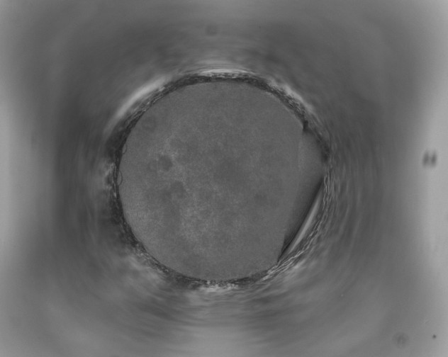X0000091931351200709121550