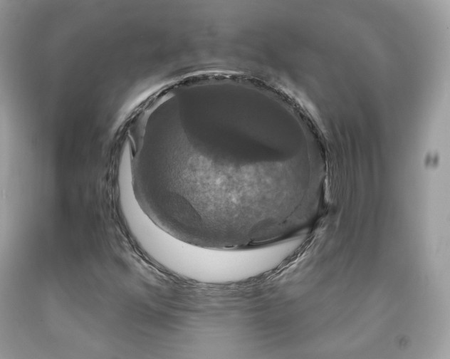 X0000091931352200709121550
