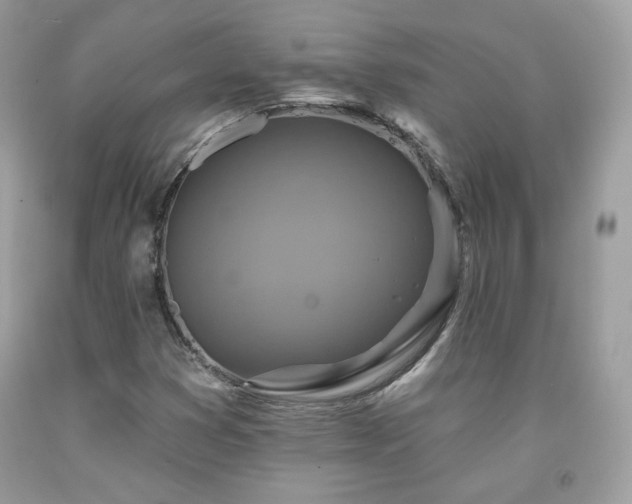 X0000091931353200709121550
