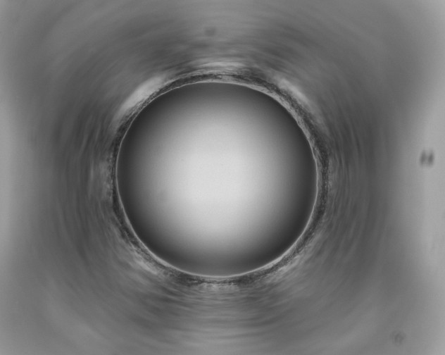 X0000091931354200709121550