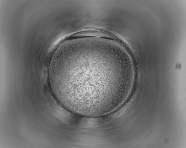 X0000091931355200709121550