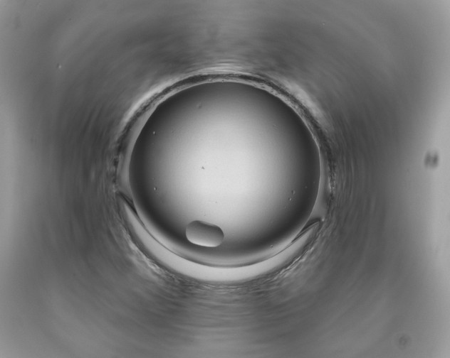 X0000091931356200709121550