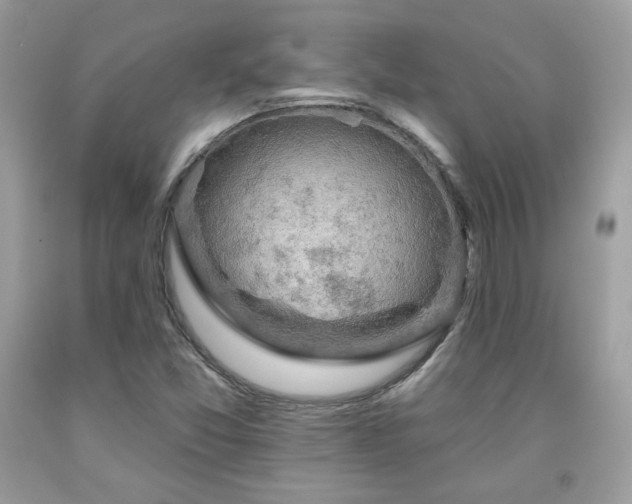 X0000091931357200709121550