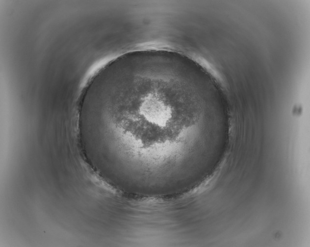 X0000091931358200709121550