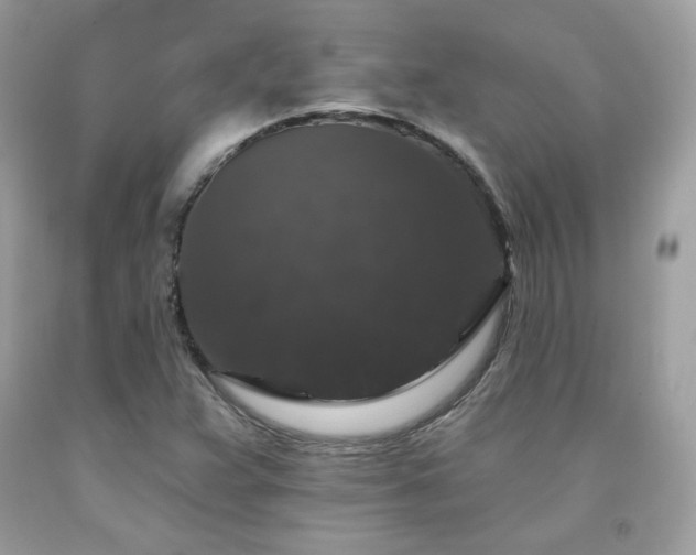 X0000091931359200709121550