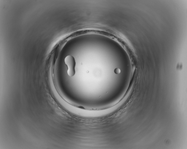 X0000091931360200709121550