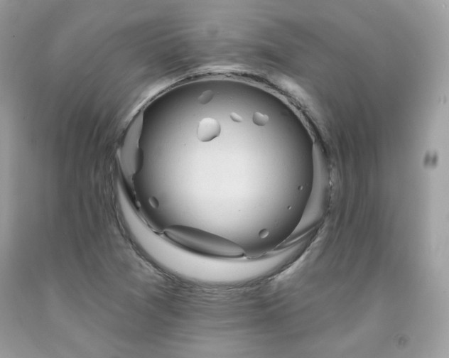 X0000091931361200709121550
