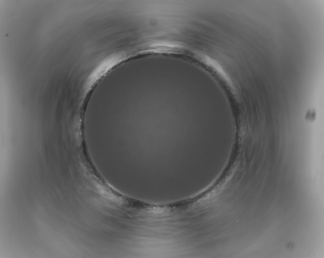 X0000091931362200709121550