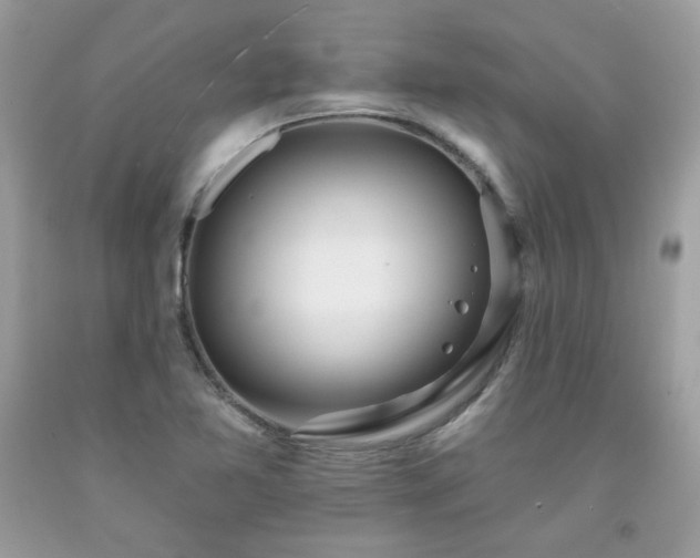 X0000091931365200709121550