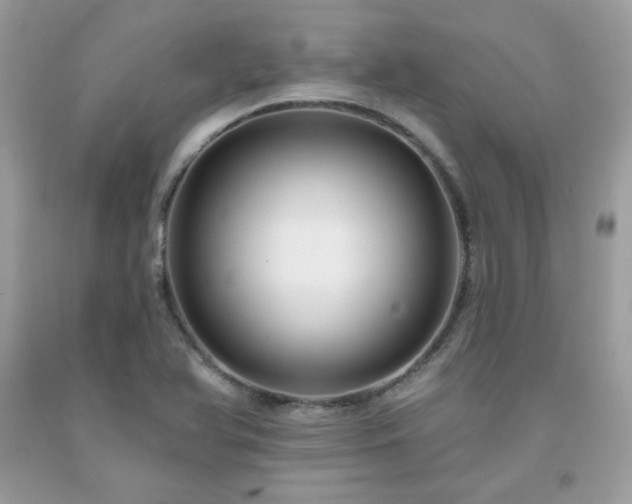 X0000091931366200709121550