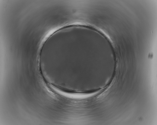 X0000091931367200709121550