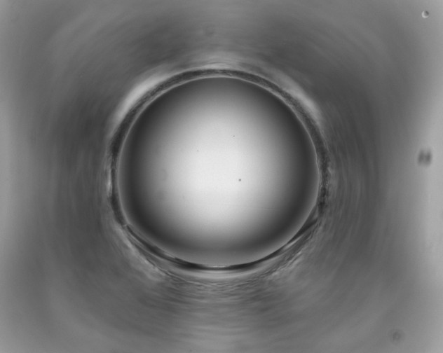X0000091931368200709121550
