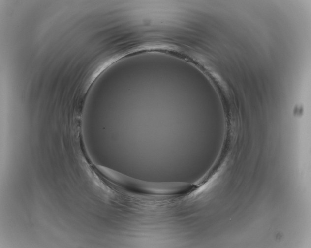 X0000091931369200709121550