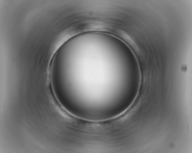 X0000091931370200709121550