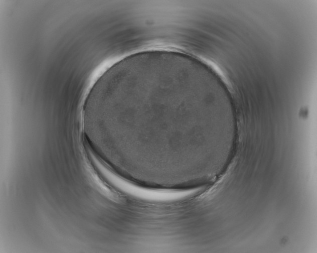 X0000091931371200709121550