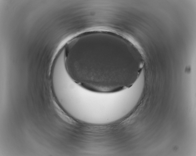 X0000091931372200709121550