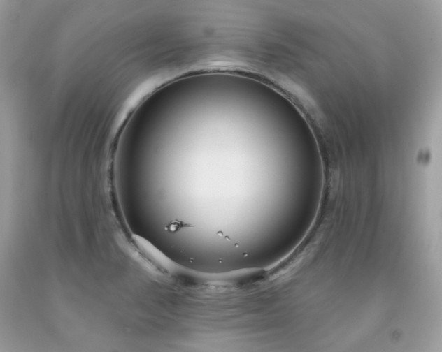 X0000091931374200709121550