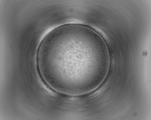 X0000091931375200709121550