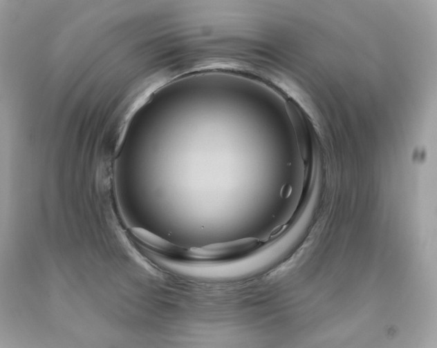 X0000091931377200709121550