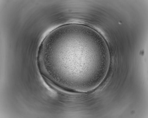 X0000091931379200709121550