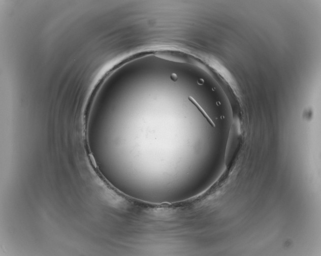 X0000091931380200709121550