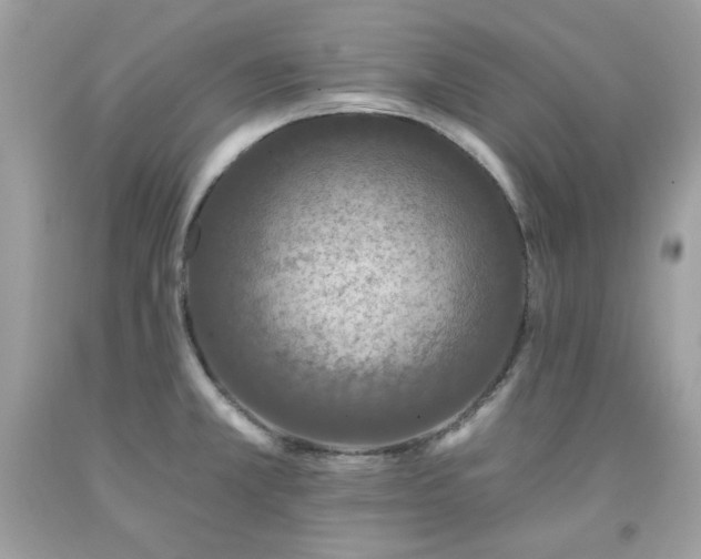 X0000091931381200709121550
