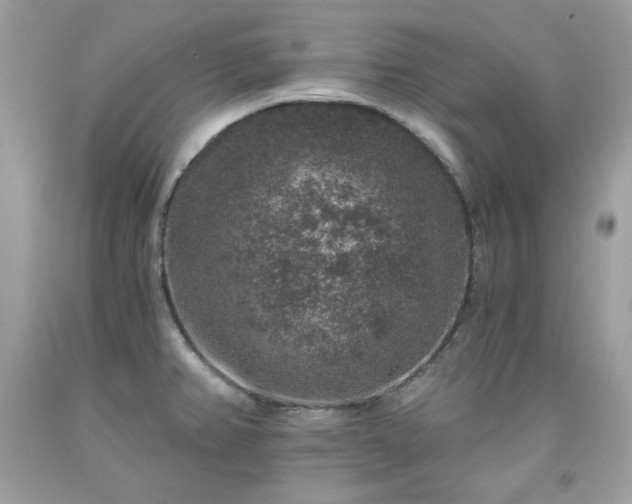 X0000091931382200709121550