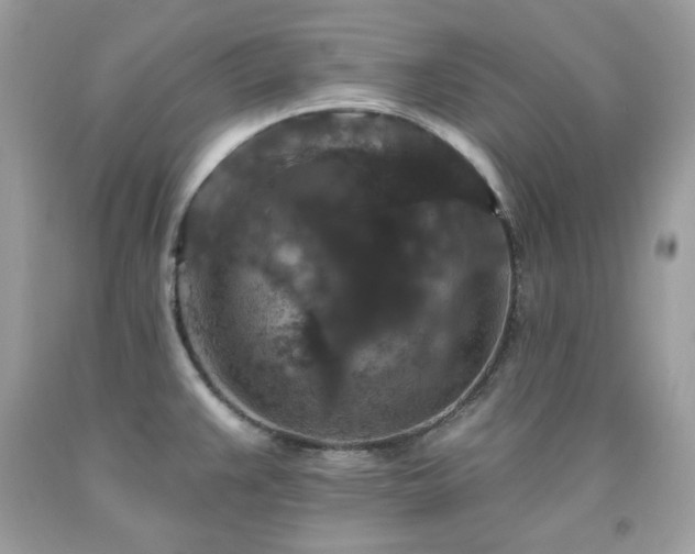 X0000091931383200709121550