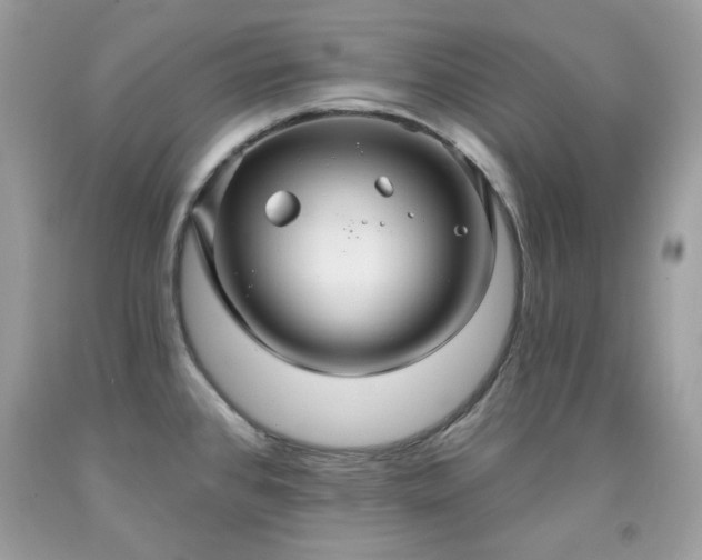 X0000091931384200709121550