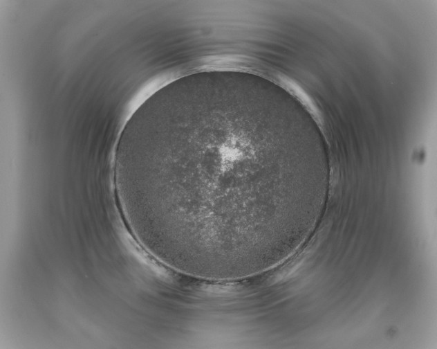 X0000091931386200709121550