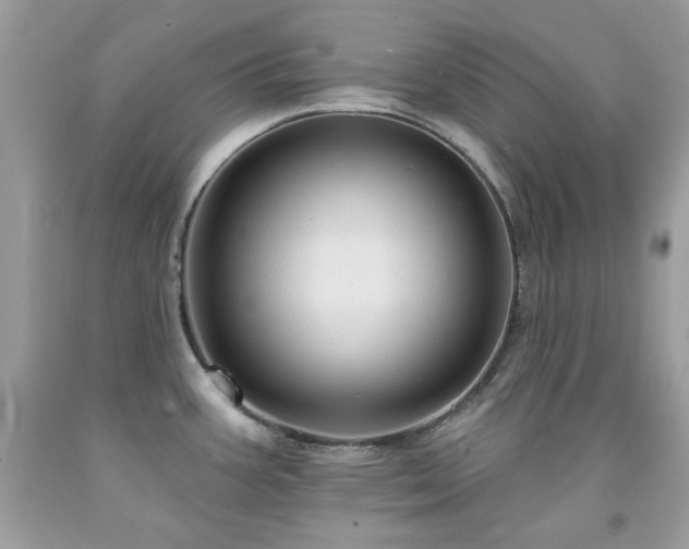 X0000091931387200709121550