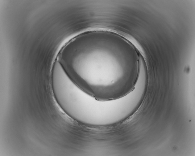 X0000091931388200709121550