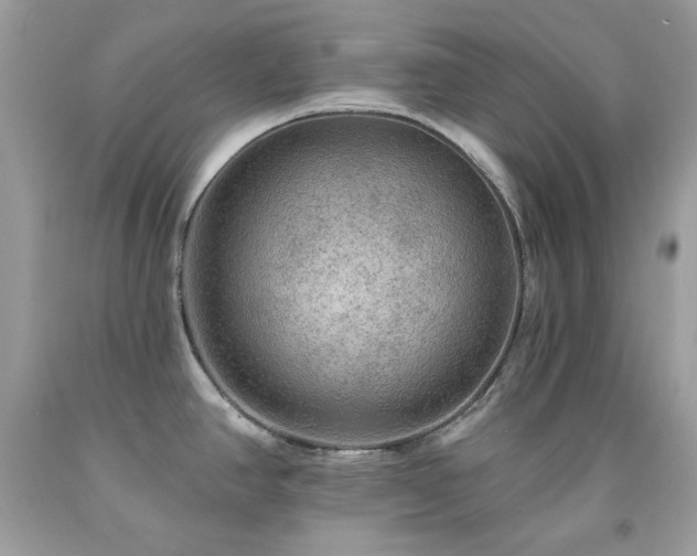 X0000091931390200709121550