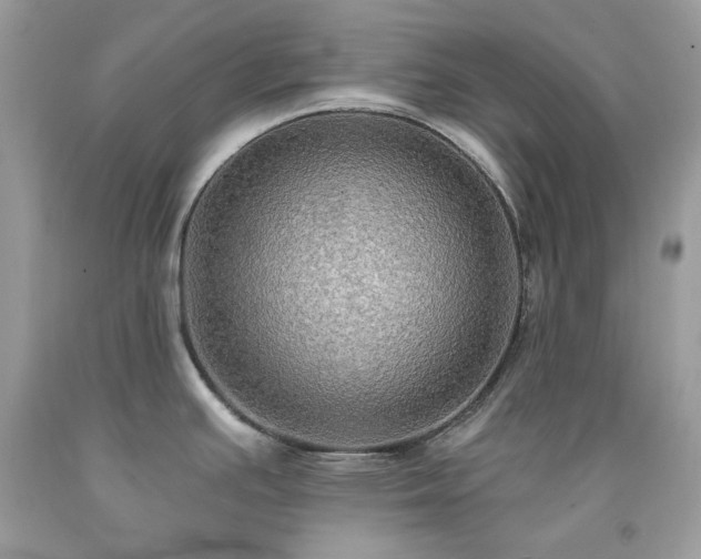 X0000091931391200709121550