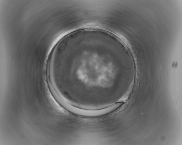 X0000091931392200709121550