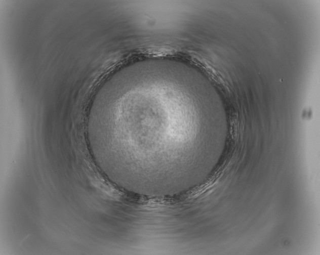 X0000091931393200709121549