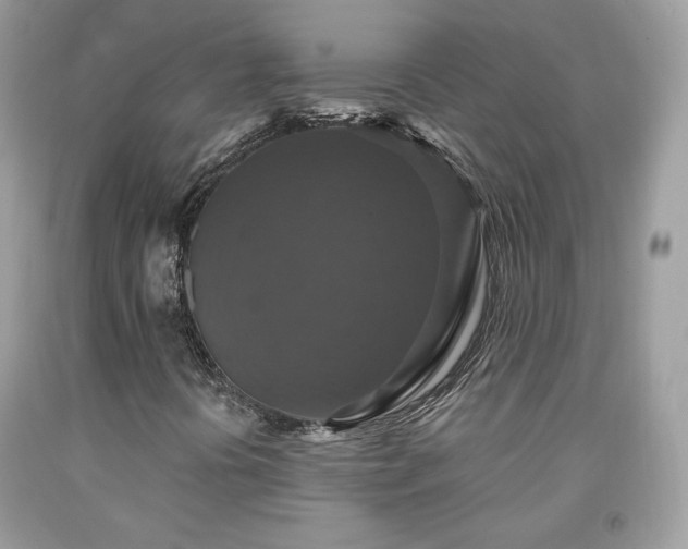 X0000091931394200709121549