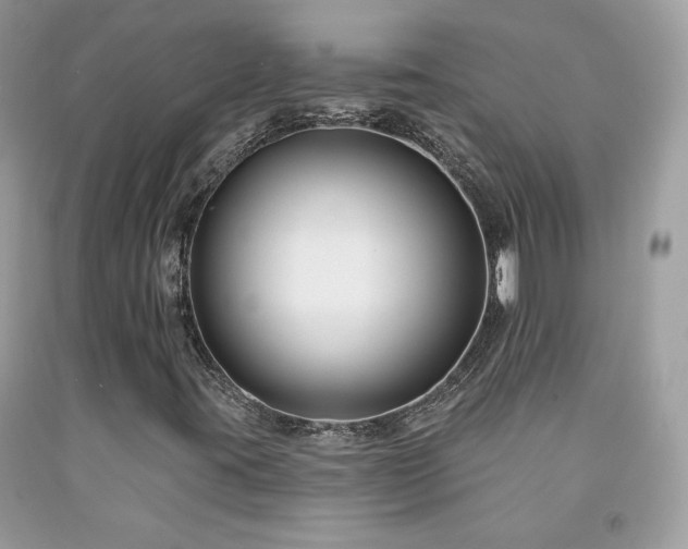X0000091931395200709121549