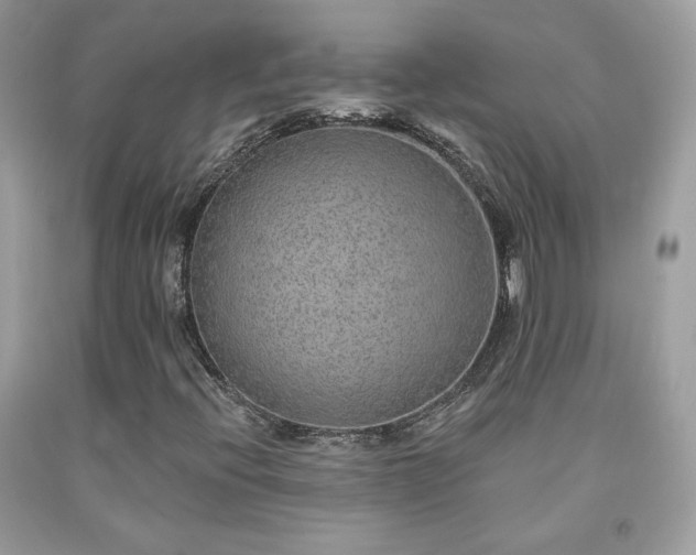 X0000091931396200709121549