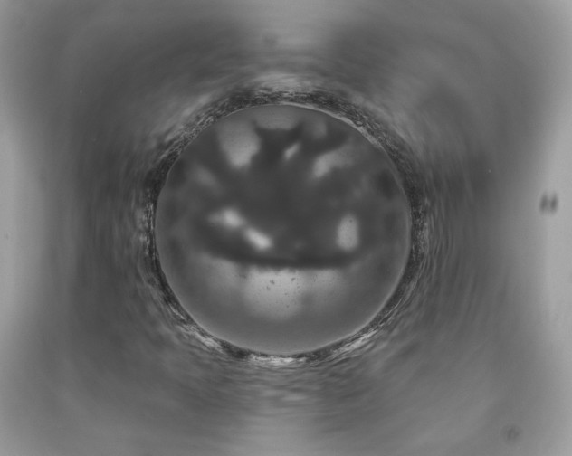 X0000091931397200709121549