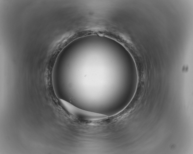 X0000091931398200709121549