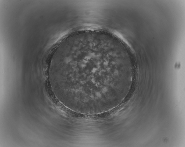 X0000091931399200709121549